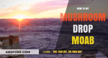 Mastering the Mushroom Drop: Strategies to Defeat MOAB in Bloons TD