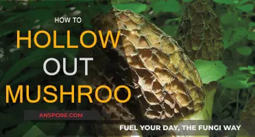 Hollowing Mushrooms: Easy Steps for Beginners