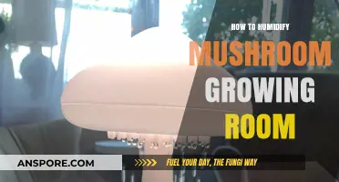 Effective Humidification Techniques for Optimal Mushroom Growing Room Conditions