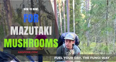 Mastering Mazutaki Mushroom Hunting: Essential Tips for a Successful Foray