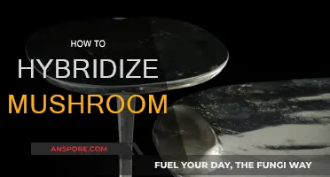 Hybrid Mushroom Cultivation: A Step-by-Step Guide