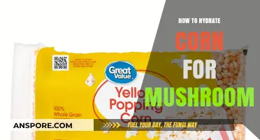 Hydrating Corn for Mushroom Cultivation: A Simple Step-by-Step Guide