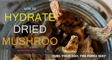 Hydrating Dried Mushrooms: Quick and Easy Methods