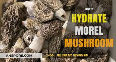 Mastering Morel Hydration: Simple Steps to Rehydrate Your Wild Mushrooms