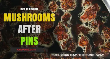 Revitalizing Your Mushroom Grow: Post-Pin Hydration Techniques for Success