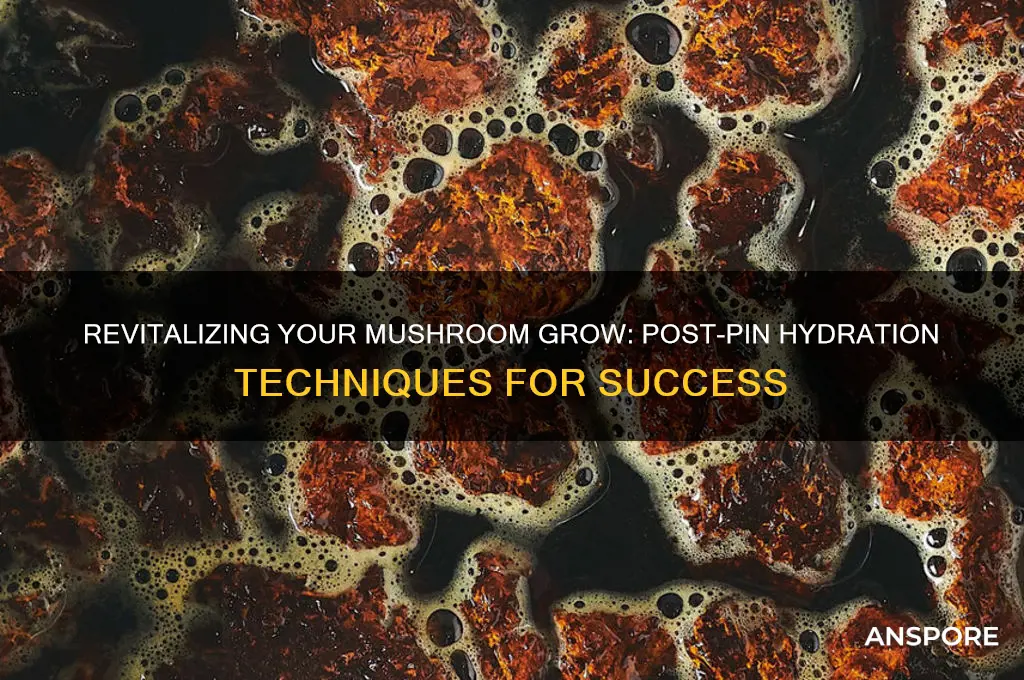 how to hydrate mushrooms after pins
