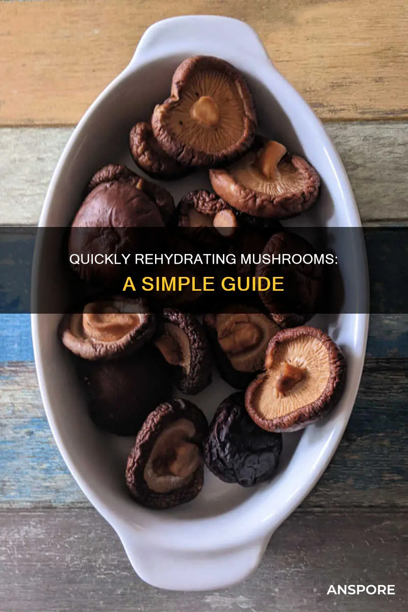 how to hydrate mushrooms fast