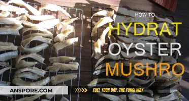 Hydrating Oyster Mushrooms: A Quick Guide