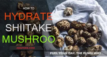 Rehydrating Shiitake Mushrooms: Quick and Easy Methods