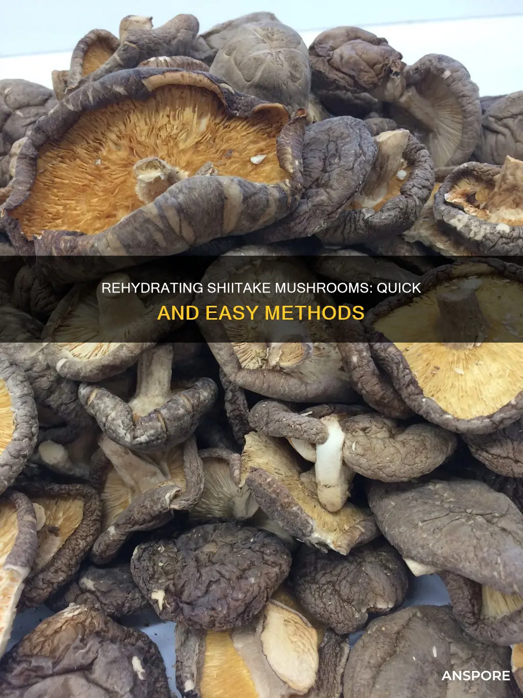how to hydrate shiitake mushrooms