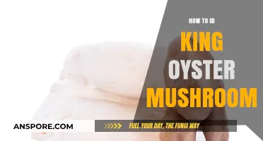 Identifying King Oyster Mushrooms: A Beginner's Guide to Spotting Them