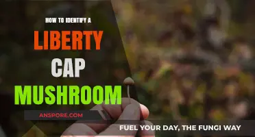 Spotting Liberty Cap Mushrooms: A Beginner's Guide to Identification