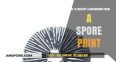 Mastering Mushroom Identification: A Guide to Spore Print Analysis