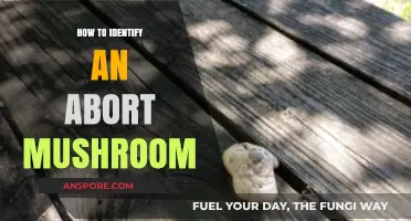 Spotting Abort Mushrooms: Essential Tips for Accurate Identification