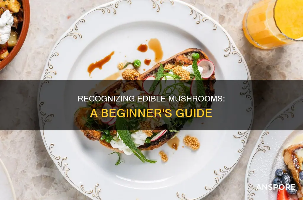 how to identify benzy mushrooms
