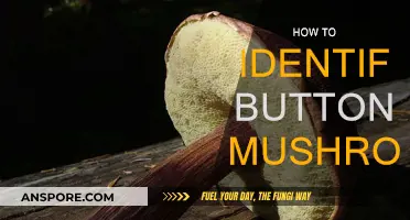 Recognizing Button Mushrooms: A Beginner's Guide