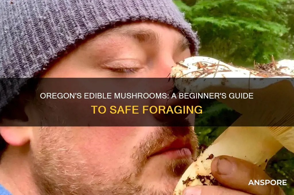 how to identify edible mushrooms in oregon