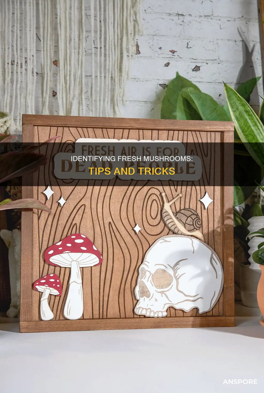 how to identify fresh mushrooms