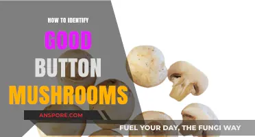 Spotting Quality Button Mushrooms: A Guide to Freshness and Flavor