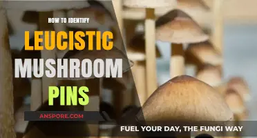 Spotting Leucistic Mushroom Pins: A Beginner's Guide to Identification