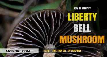 Identifying Liberty Bell Mushrooms: A Beginner's Guide to Spotting This Unique Fungus