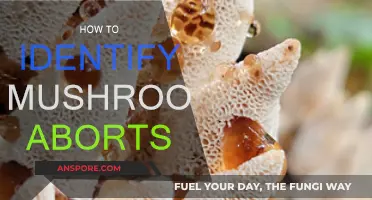 Recognizing Mushroom Aborts: A Beginner's Guide
