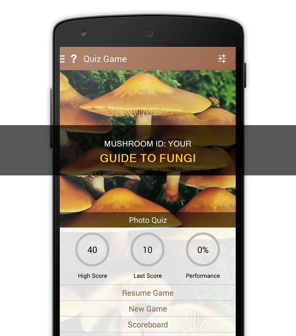 how to identify mushrooms app
