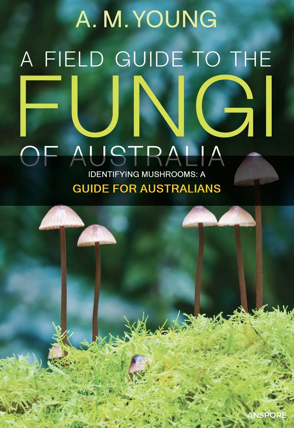 how to identify mushrooms australia