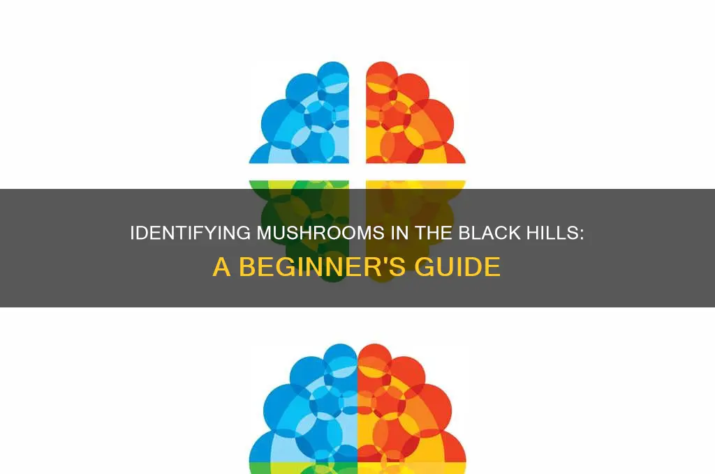 how to identify mushrooms in the black hills