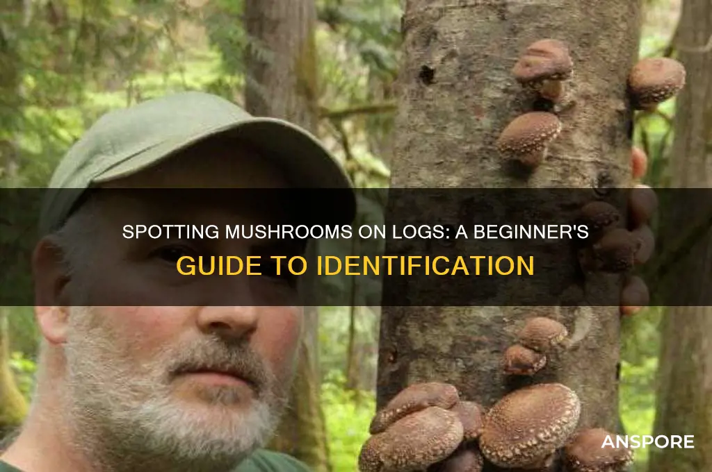 how to identify mushrooms on logs