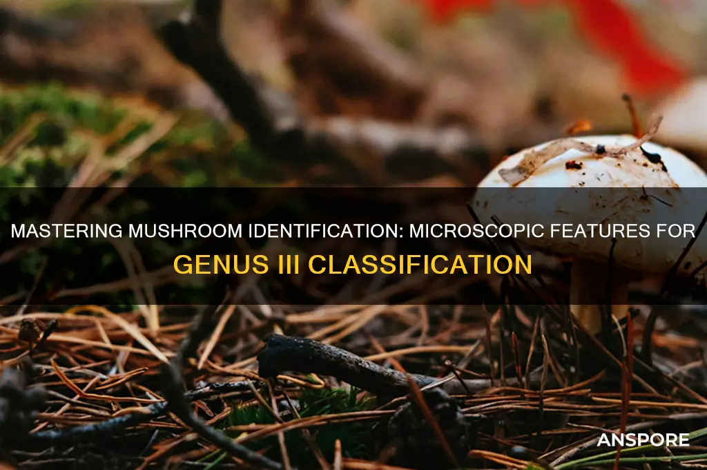 how to identify mushrooms to genus iii microscopic features