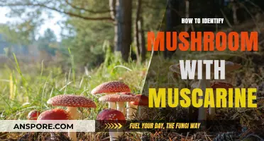 Spotting Mushrooms with Muscarine: A Guide to Safe Identification