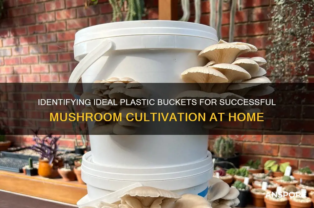 how to identify plastic buckets for growing mushrooms