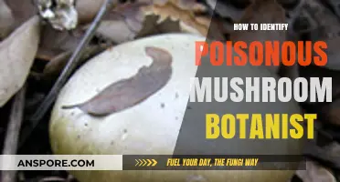 Botanist's Guide: Safely Identifying Poisonous Mushrooms in the Wild