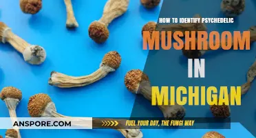 Identifying Psychedelic Mushrooms in Michigan: A Comprehensive Guide