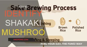 Foraging for Shakaki Mushrooms: Identification Tips