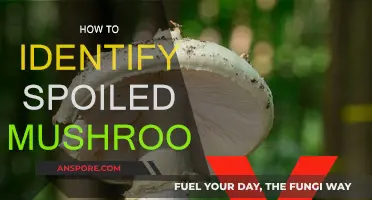 Spotting Spoiled Mushrooms: What to Look For