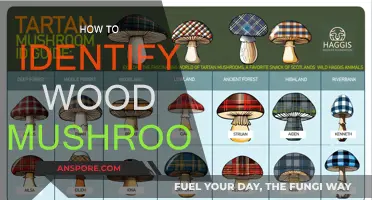 Recognizing Wood Mushrooms: A Beginner's Guide