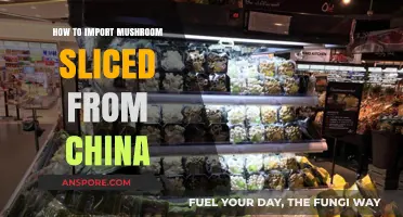 Importing Sliced Mushrooms from China: A Comprehensive Guide