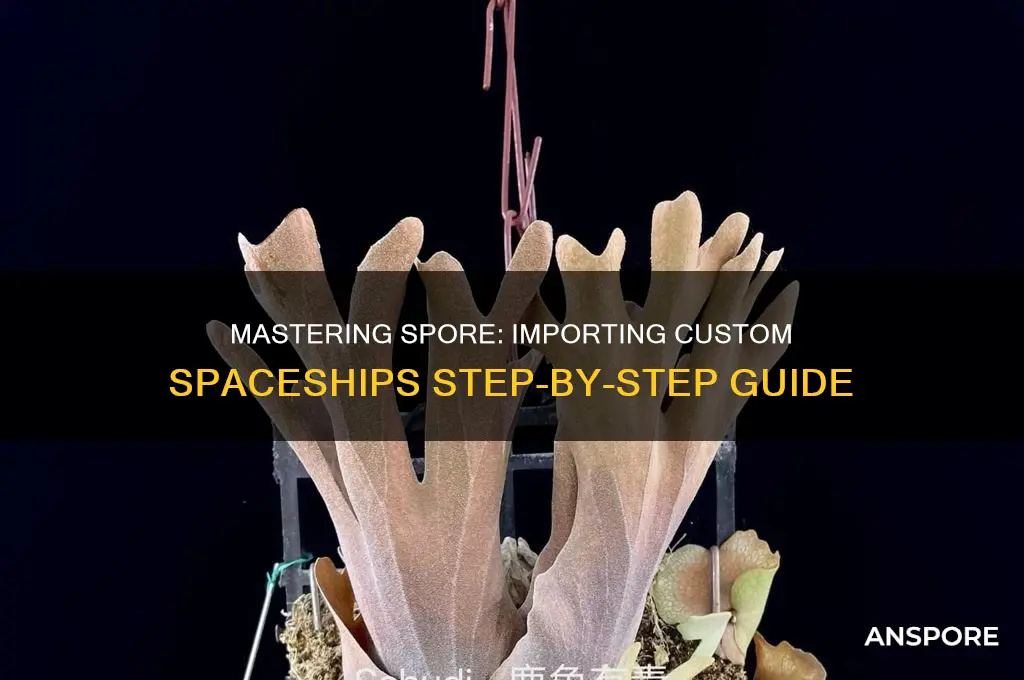 how to import spaceships spore