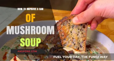Elevate Your Mushroom Soup: Simple Tips for Richer Flavor and Texture