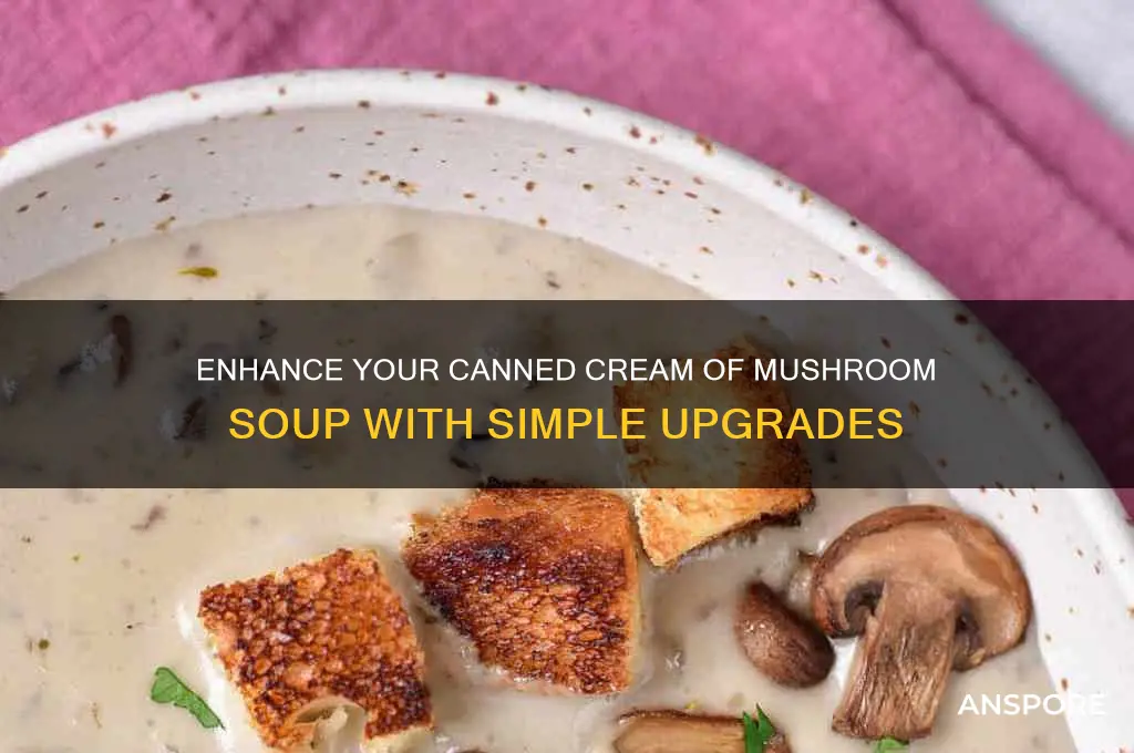 how to improve canned cream of mushroom soup