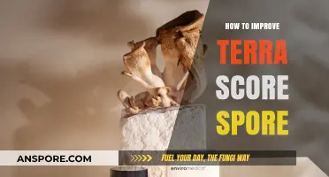 Boost Your Terra Score Spore: Effective Strategies for Optimal Growth