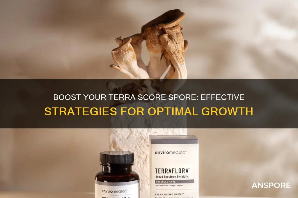 how to improve terra score spore