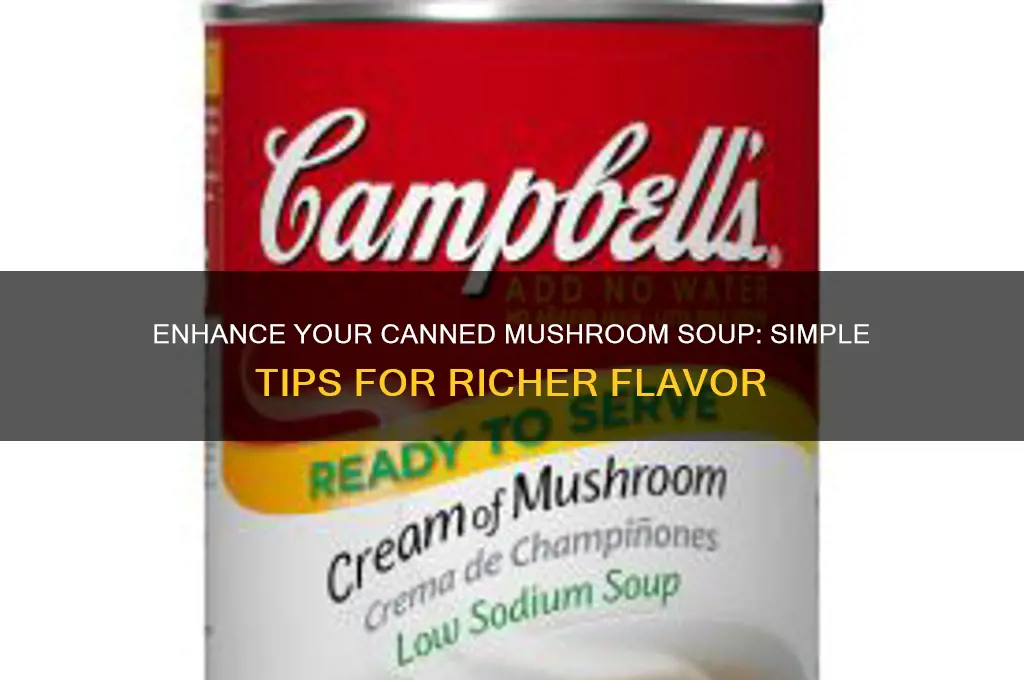 how to improve the taste of canned mushroom soup