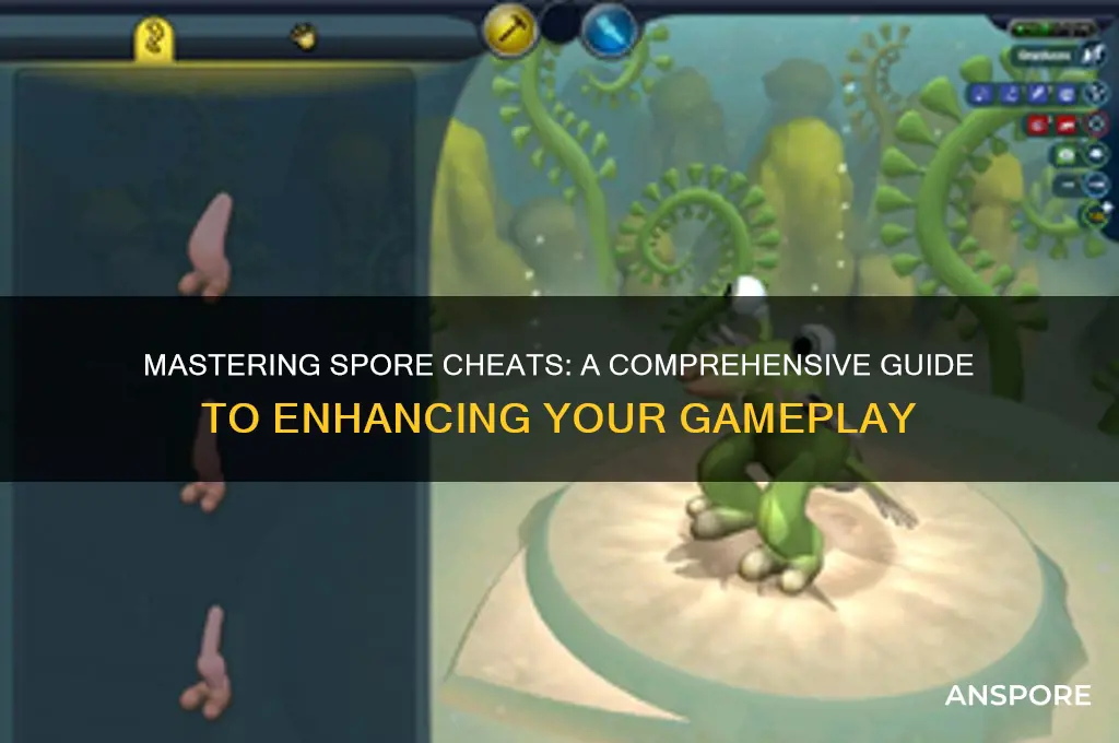 how to imput spore cheats