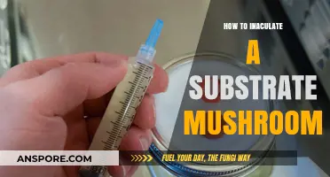 Mastering Mushroom Inoculation: A Step-by-Step Guide to Substrate Preparation