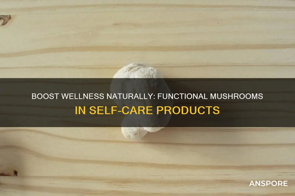 how to incorporate functional mushrooms into wellness products