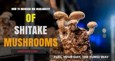 Boosting Shiitake Mushroom Bioavailability: Simple Tips for Enhanced Nutrient Absorption