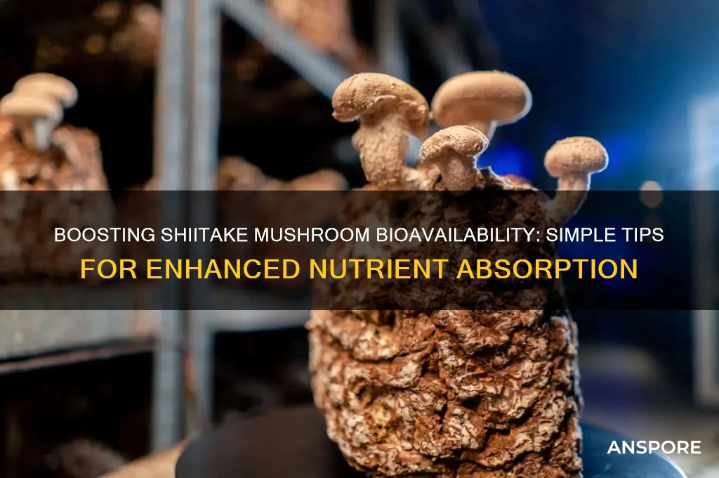 how to increase bio availability of shitake mushrooms
